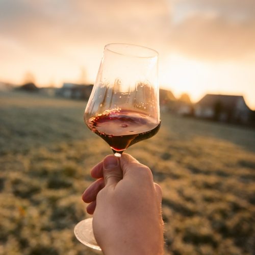 Personne dégustant un bon vin du sud est Personne dégustant une boisson alcoolisée